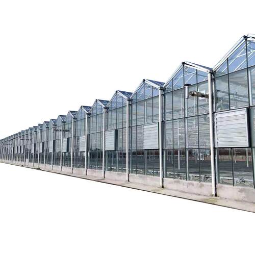 玻璃温室大棚生态餐厅荷兰式连栋阳光板喷塑科研观光种植大棚
