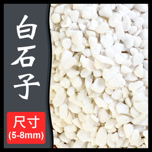 石子多鹅卵石雨花石小白栽培基质