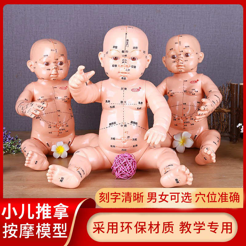 小儿推拿身体穴位中医按摩经络图书教学月嫂培训娃娃模型宝宝保健