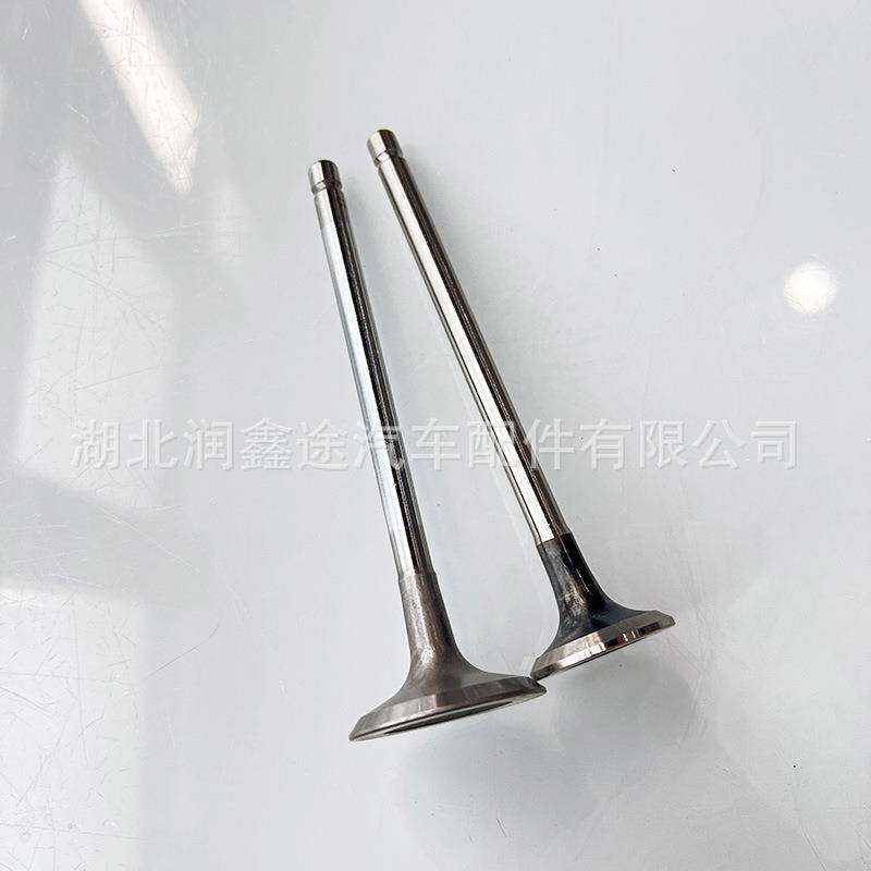 适用标致307 308 408 301 2008C3XR世嘉C4L发动机气门进排气门