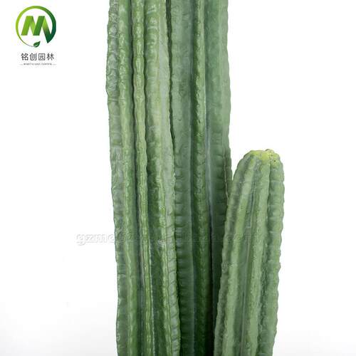 热带植物造景PU杆仙人柱盆栽 大型仿真仙人掌 沙漠植物装饰量天尺