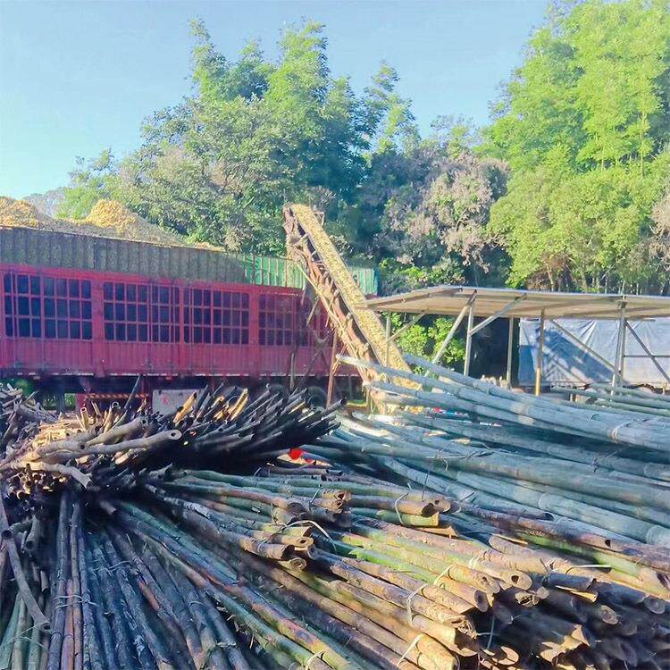 竹子粉碎机 大型竹木强制进料粉碎机 竹子原木削片切片机