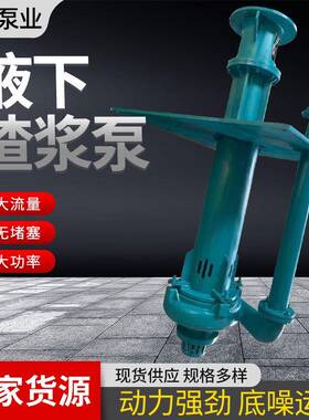150SV-SP液下渣浆泵池塘抽泥清淤耐磨吸砂泵渣浆泵yz立式渣浆泵