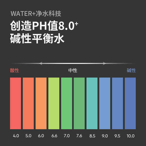 德国bwt滤水壶滤芯原装进口碱性水平衡家用净水器倍世净水壶滤芯