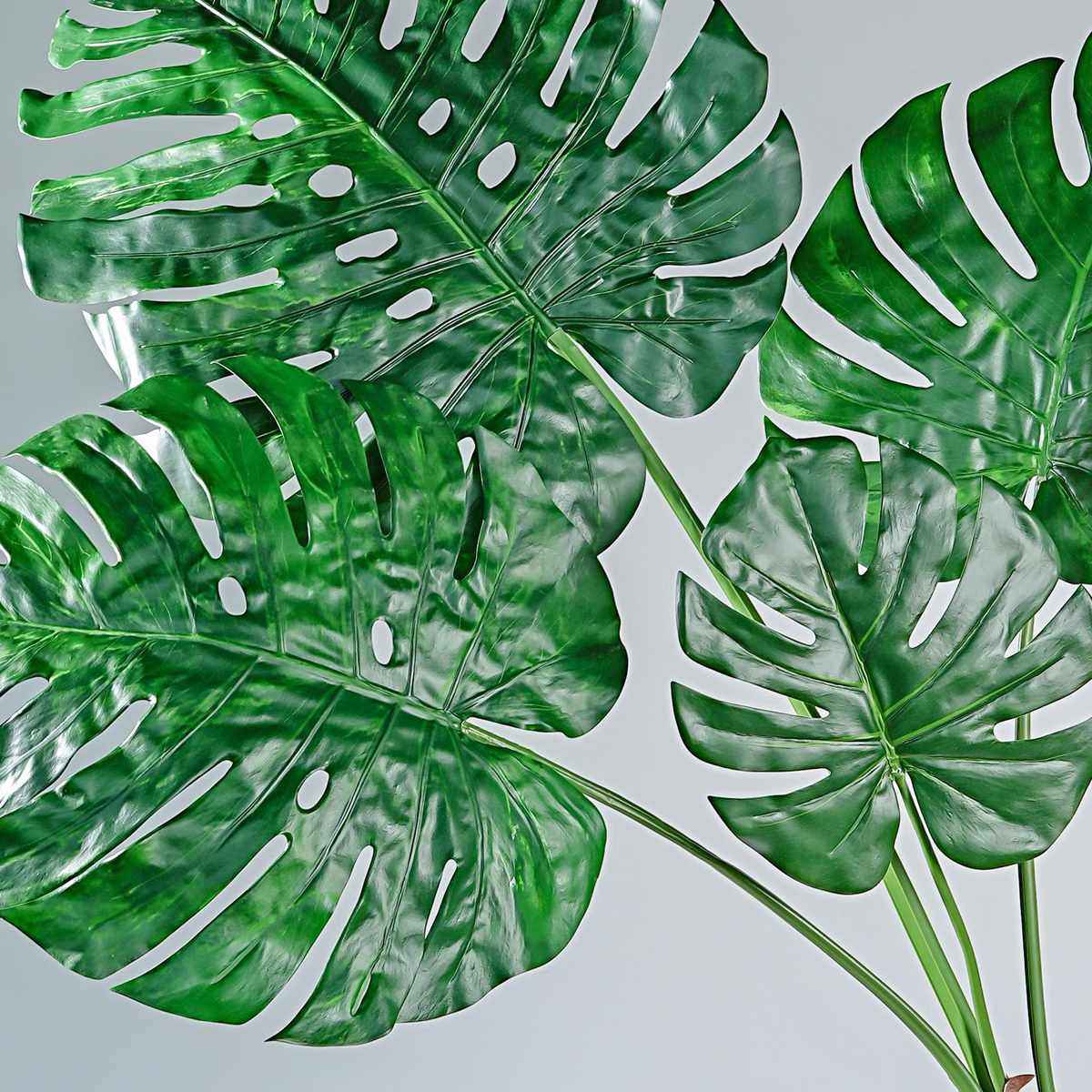 仿真龟背竹摆件龟背盆栽叉大型家居装饰根须造景叶植物4水培植绿,鲜花速递/花卉仿真/绿植园艺,仿真绿植,淘宝优惠券,粉丝福利购,淘宝优惠卷