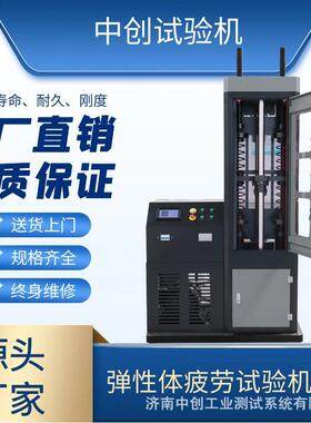 避震器疲劳试验机 10kN弹性体耐久寿命测试机 机械式疲劳试验机