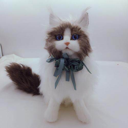 宠物婚礼项圈无铃铛蝴蝶领结猫猫咪狗狗兔子中小型犬花朵蝴蝶结