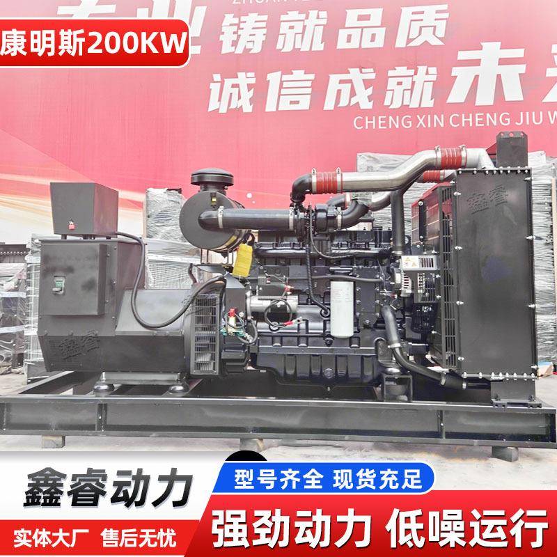 200KW康明斯静音箱柴油发电机组厂家工厂养殖场静音箱柴油发电机