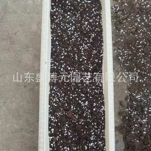 品氏泥炭土混珍珠岩蛭石 品先基质 瓜果蔬菜基质 家庭园艺栽培
