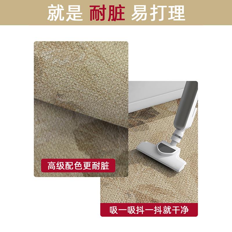 入户门地毯轻奢耐脏毯子大门口踩脚垫进门耐蹭玄关垫耐脏地垫