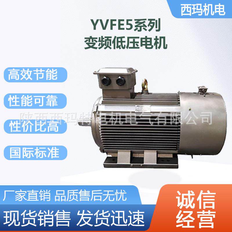 西安西玛电机YV5-355L-8极200W低压变频交流三相异步电动机厂