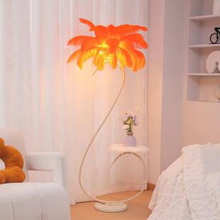 羽毛落地灯客厅沙发旁转角设计感摆件艺术法式创意卧室鸵鸟羽毛灯