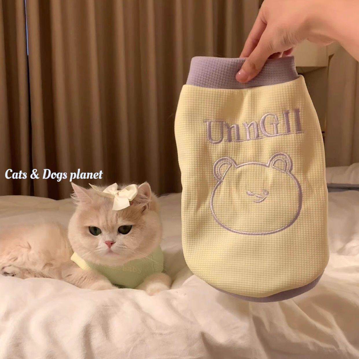 小猫咪衣服冬季加绒背心金渐层蓝猫布偶幼猫宠物防寒加厚保暖冬装