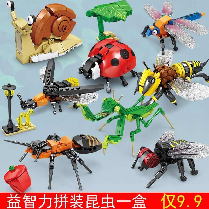 动物拼装模型仿真马猪牛动物解剖模型内脏记忆拼装模型可拆卸模型