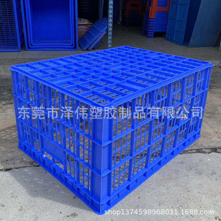 东莞泽伟塑胶厂5号塑料周转箩塑胶周转筐蔬菜框果皮箩筐电商箩