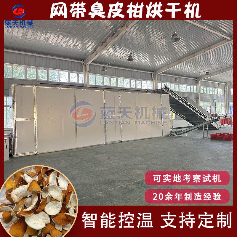 臭皮柑切片烘干设备枸头橙黄皮酸橙脱水干燥机网带臭皮柑烘干机