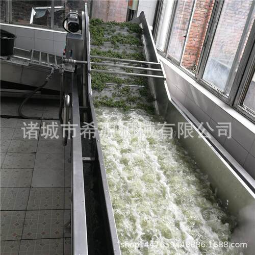 1吨/h保鲜椒杀青机 青花椒清洗杀青机 全自动漂烫设备工艺