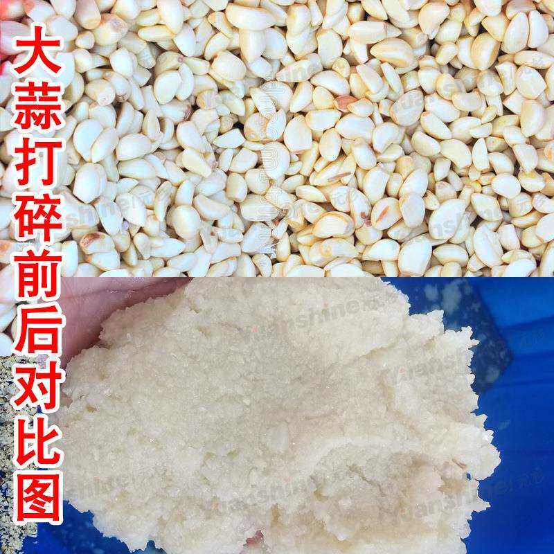 厂家现货果蔬打泥机香芋芒果打泥机蒜蓉酱辣椒酱打碎机