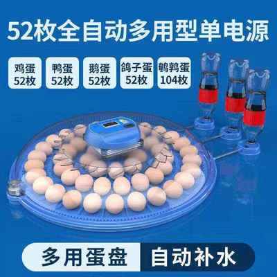芦丁家用鸡孵蛋器鹦鹉箱小飞孵化小型器碟迷自动机全鸟蛋新款