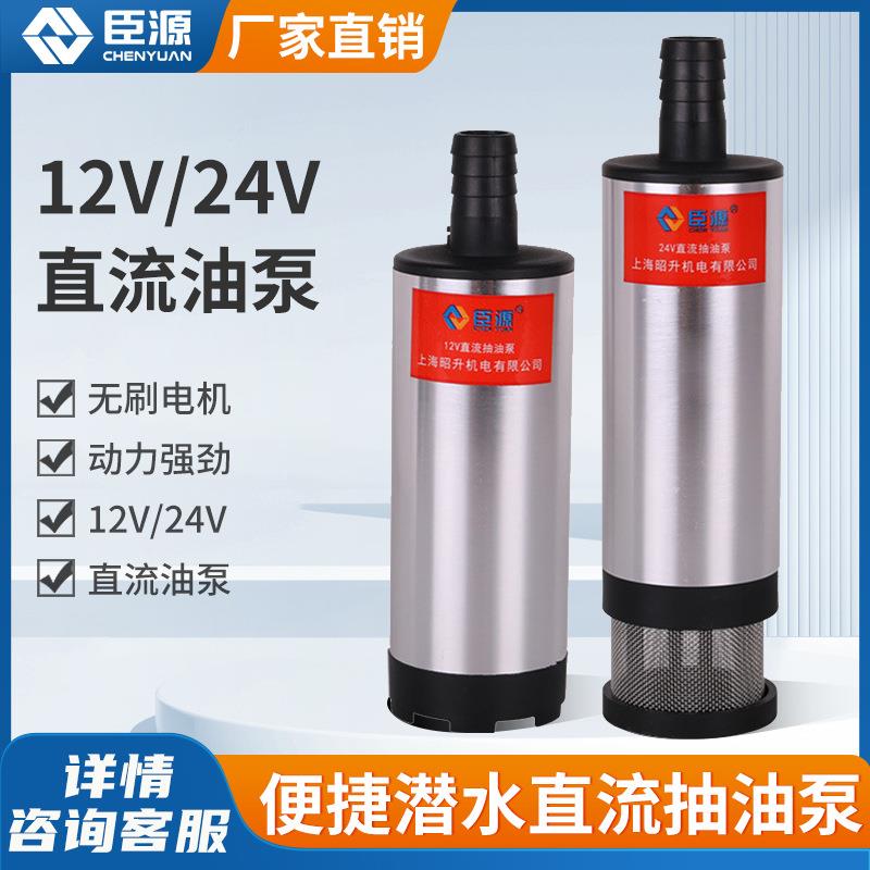 臣源便捷式12V24V直流潜水泵车载抽油泵电动输油小油泵车载专用