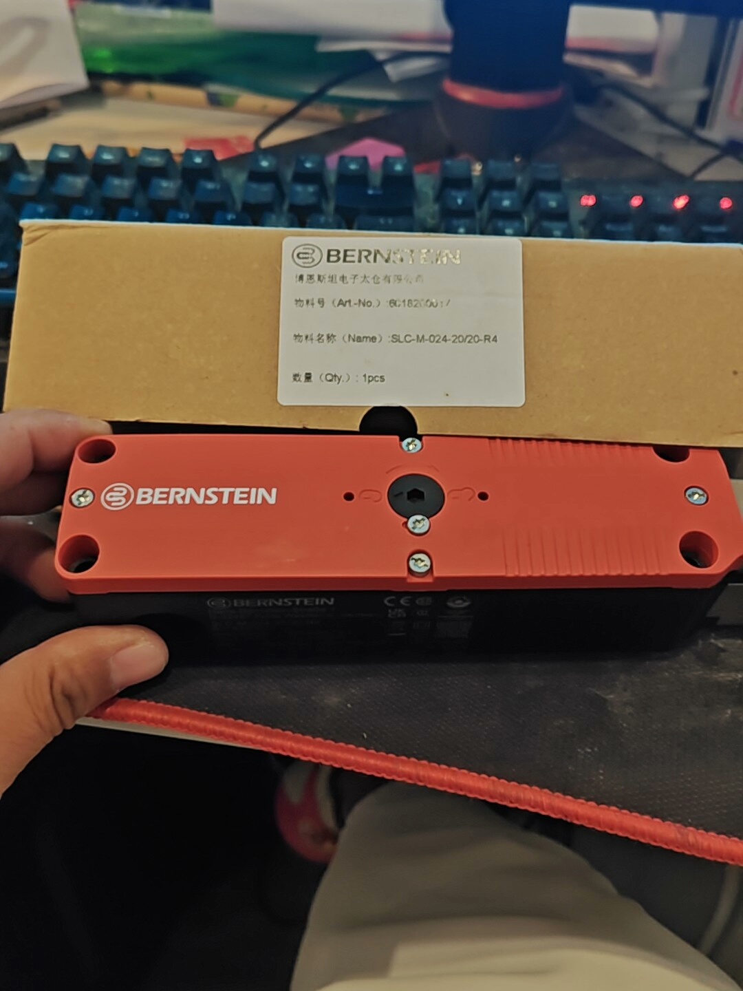 博恩斯坦SLC-M-024-20/20-R4安全门锁 电磁开