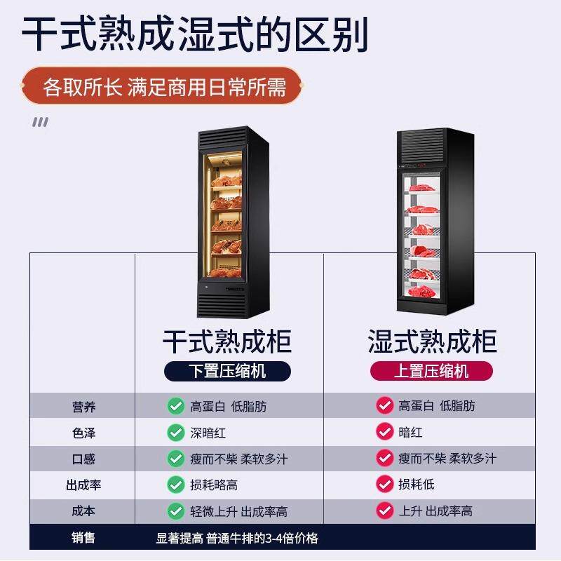 牛肉熟成柜干式和牛排酸柜西餐烤肉冷藏火腿恒温冷冻红酒柜展示柜