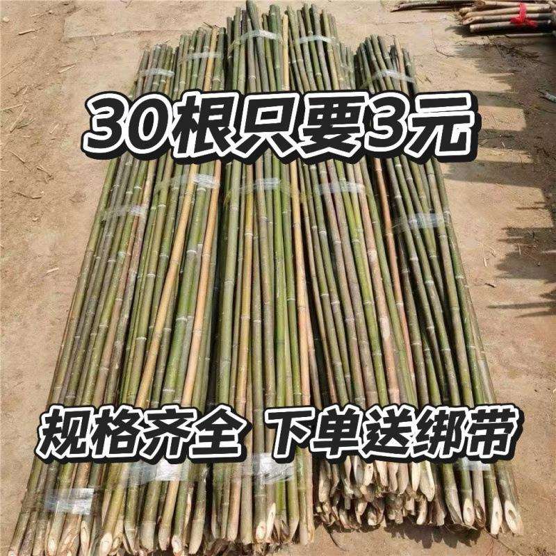 竹竿菜园搭架蔬菜黄瓜番茄豆角架杆竹篱笆栅栏小竹子细竹竿爬藤架
