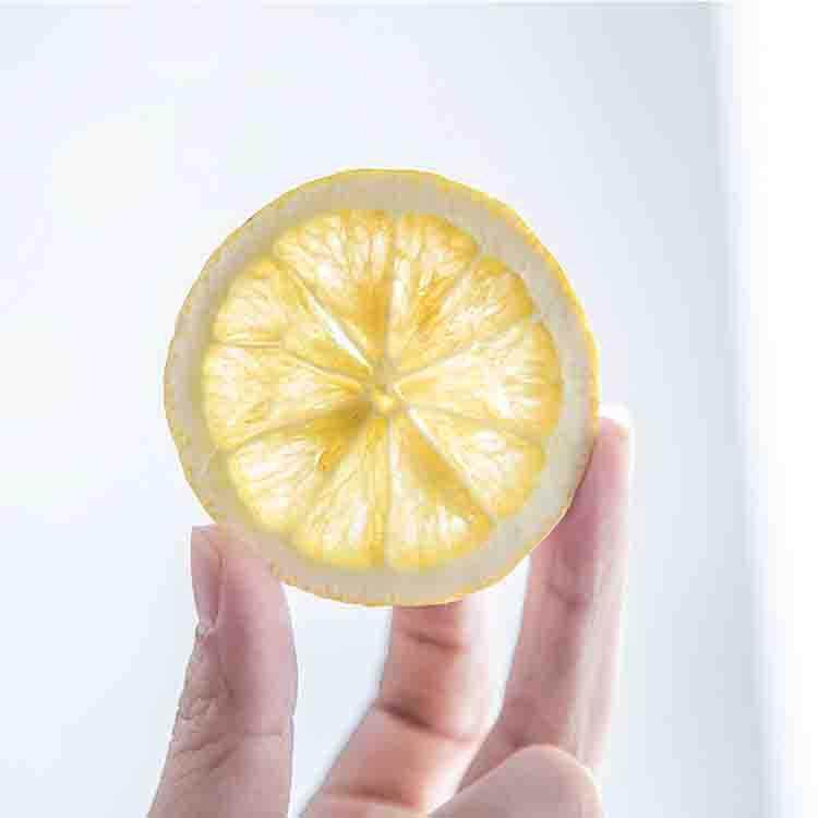 -60℃水果片冻干机食品中草药冻干设备实验室台式真空冷冻干燥机