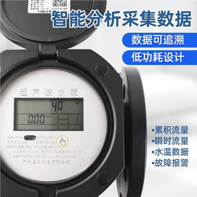 大DN50NB口径IBP资68无阀远传MBUS+N多通讯农灌水源超双声道声波