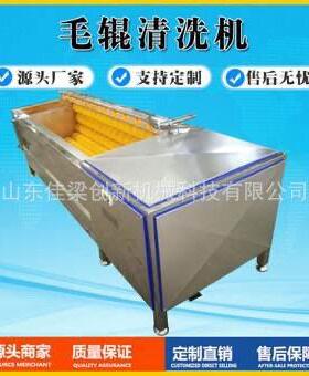 清洗机地瓜毛辊清洗土豆胡萝卜魔芋山花生等多功能去皮清洗机