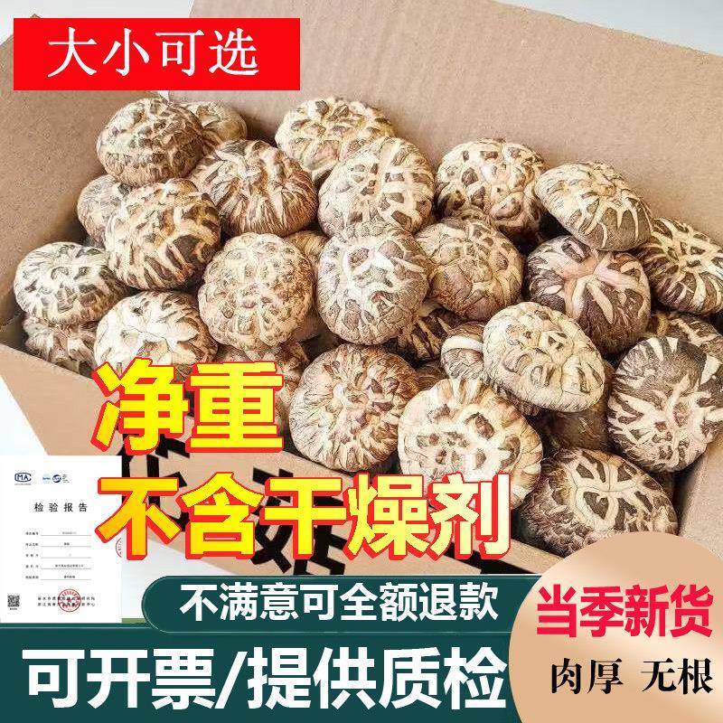 新货精选厚肉大花菇小花菇500克包邮椴木菌菇蘑菇冬菇大小可选