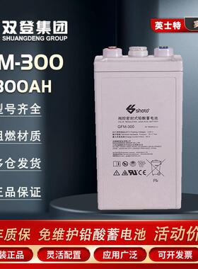双登蓄电池GFM-300电力工程直流系统2V300AH发电站紧急电源直流屏