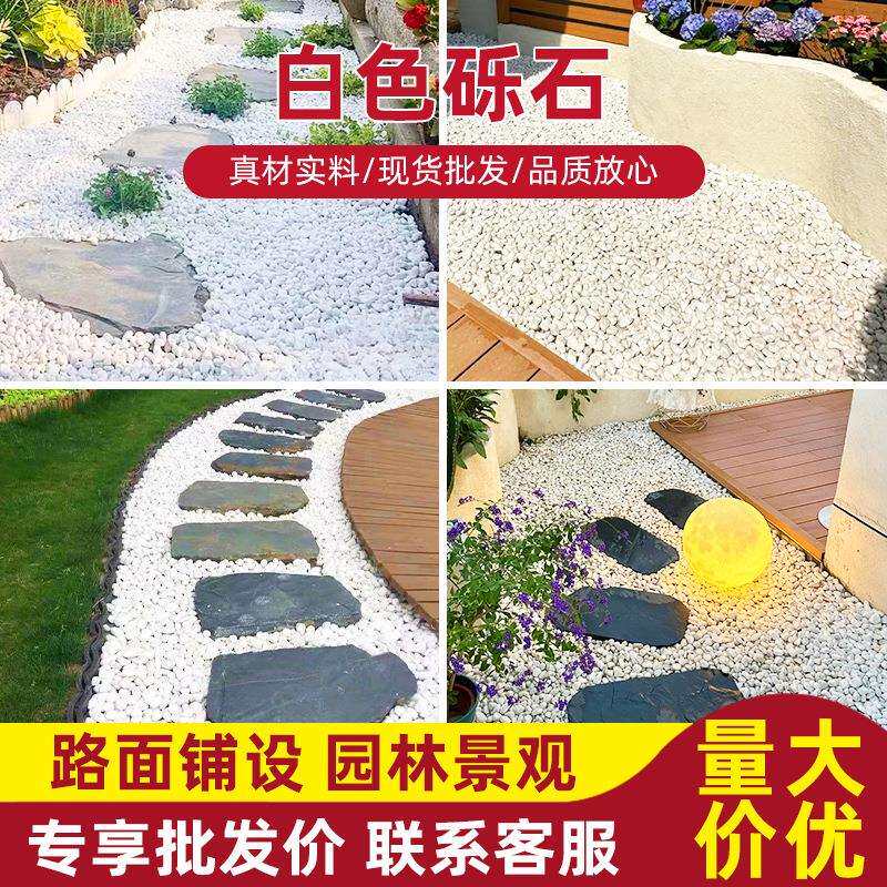 白色砾石白石子鹅卵石雪花白园林铺路雨花石碎石水洗石南京厂家