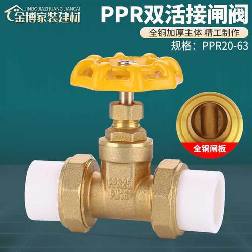 全铜20PPR管阀门自来水管开 关4分闸阀25ppr双头双活接热熔停止阀