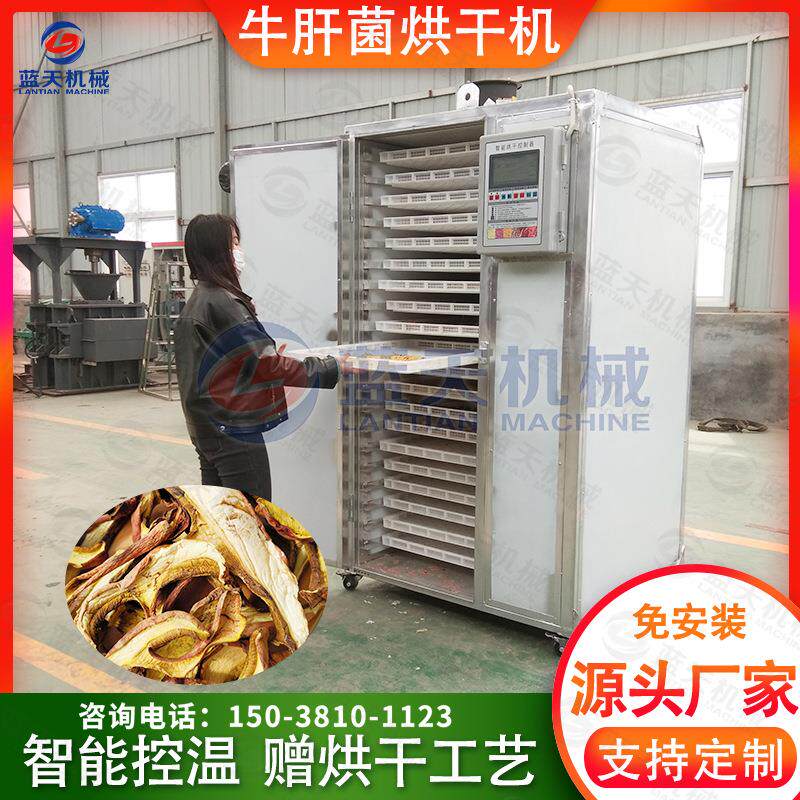 云南牛肝菌烘干机 全自动白牛肝菌见手青烘干箱 食用菌烘干一体机