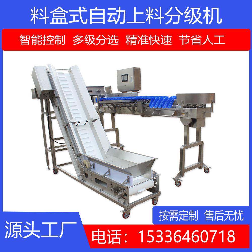 自动上料重量分级机鸡柳鸡胗重量分选机禽肉类在线称重分拣机