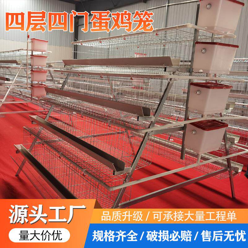 阶梯式蛋鸡笼四层四门多层养鸡笼设备配件全自动蛋鸡大规模饲养笼