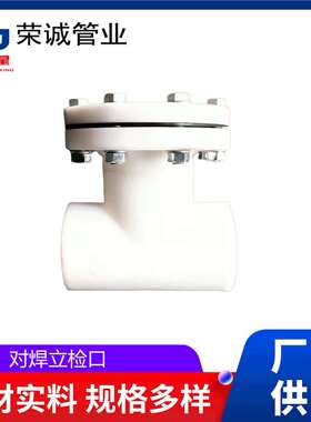 FRPP对焊式立检口三通式检查口盲板堵头加厚耐酸碱耐高温管堵