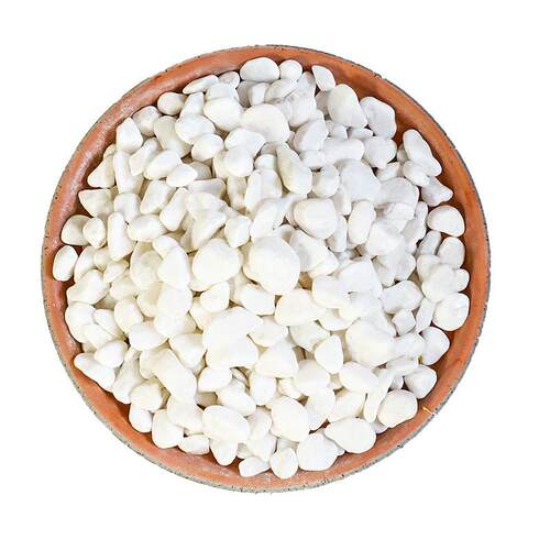 石子多鹅卵石雨花石小白栽培基质