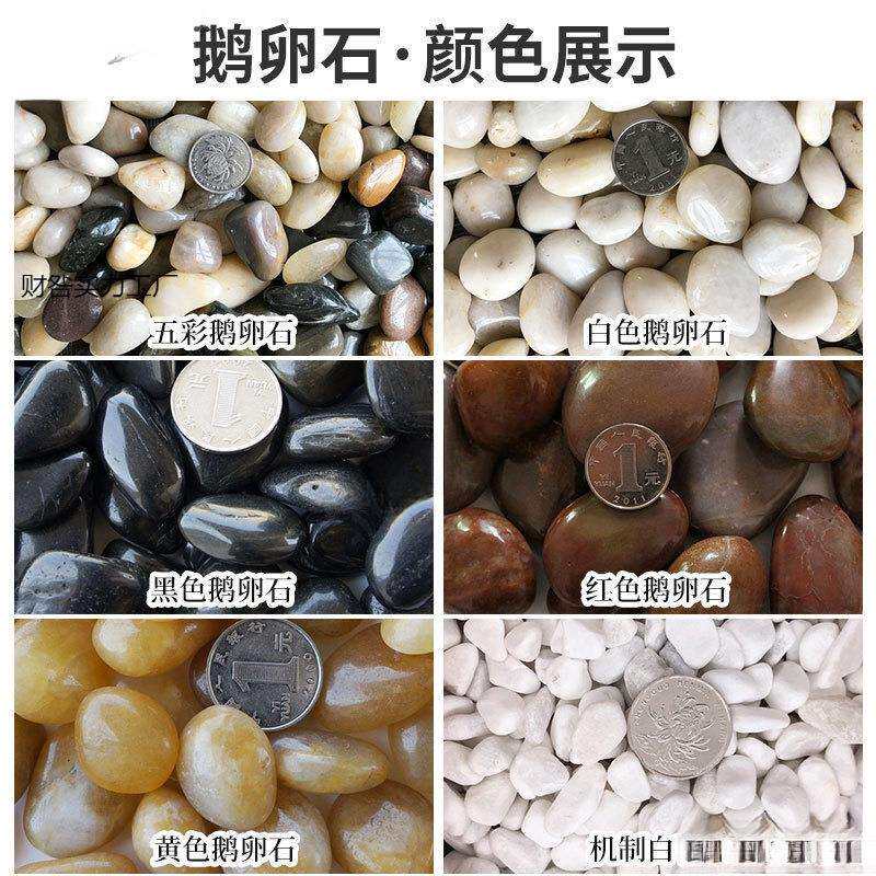 花盆里的鹅卵石阳台地面装饰个性花园鱼缸景观户外院子石头沙石