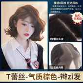 高档英琪假发女短发空气海外翻羊毛卷卷蛋头刘短卷发无全真发全头
