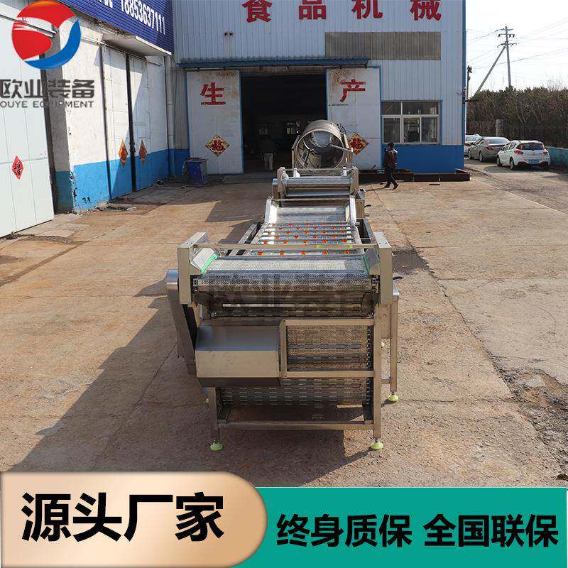 厂家直销地环菜清洗机 地环去泥机 臭氧分解农药残留清洗设备