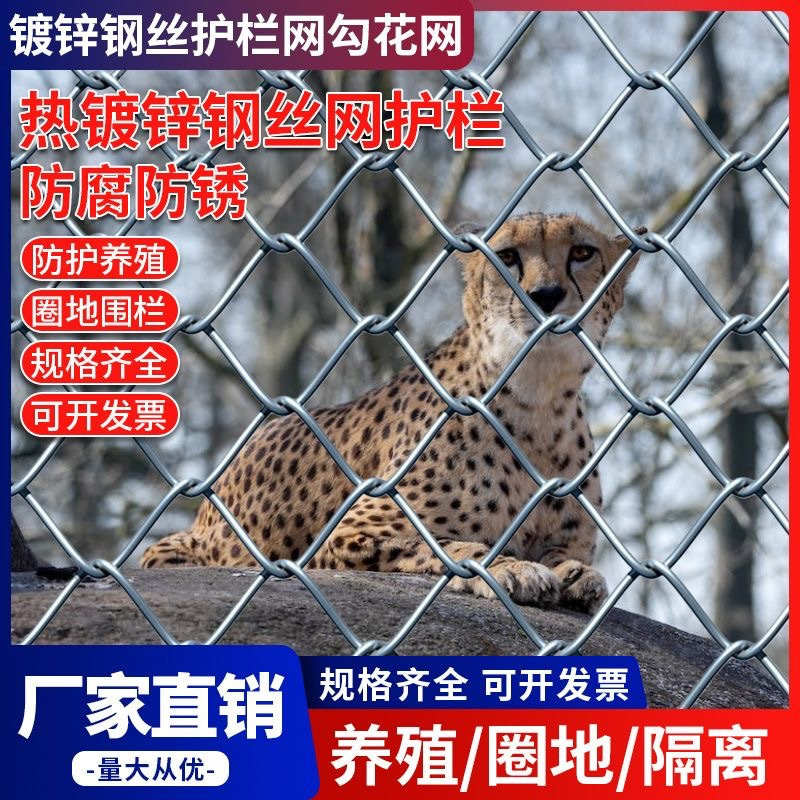 户外菜园养殖家禽围栏网镀锌铁丝勾花网园林绿化圈牛羊隔离钢丝网