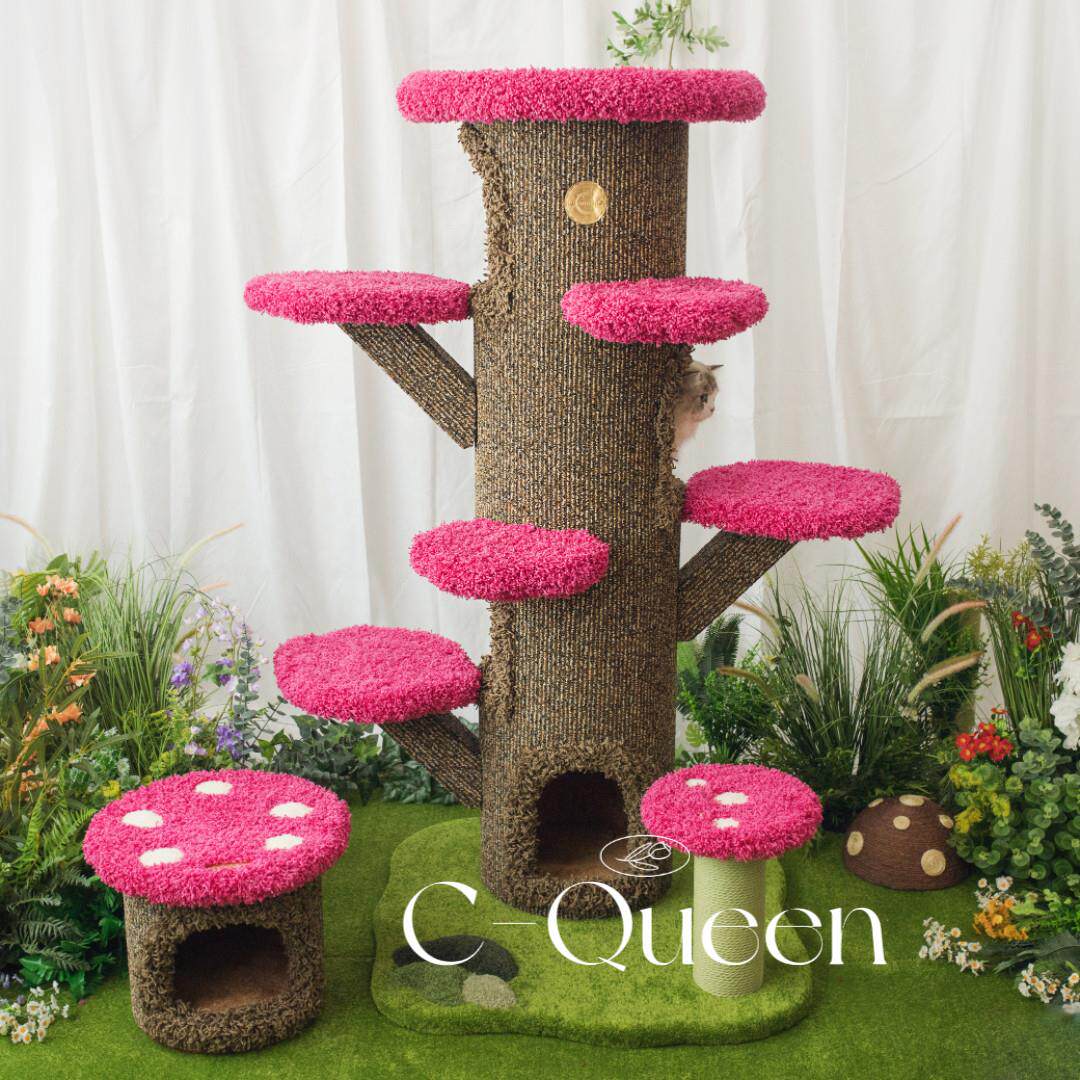 C-Queen/ family大型蘑菇猫爬架猫窝集成猫树实木猫窝床蘑菇屋