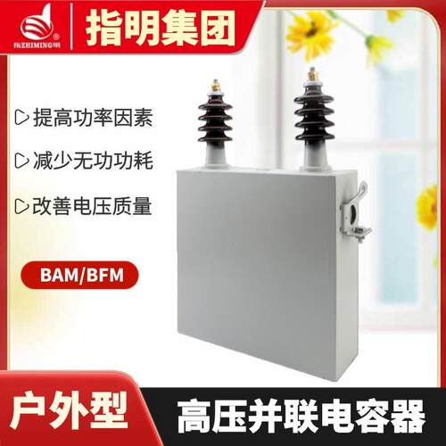 指明集团三相高压电力电容器系列BFM12-100-3DW带中心点出线