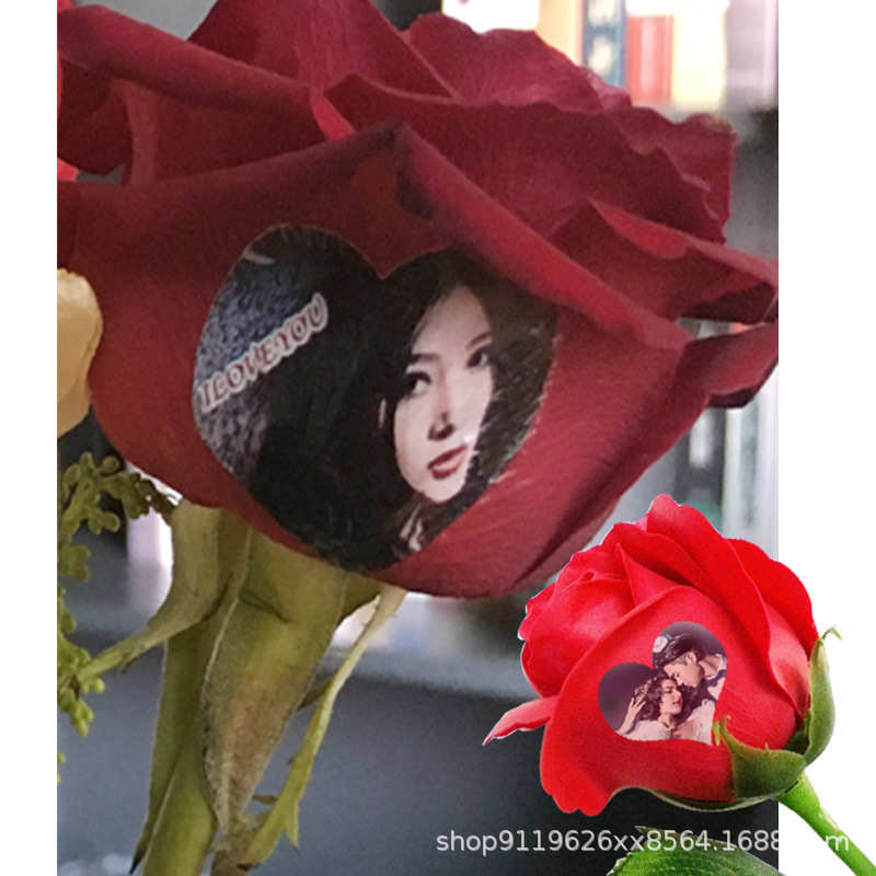 A4 喷墨  白底 水转印纸型 深色物品 转印 水贴纸 个性