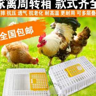 鸡框鸡笼周转箱鸡用运输筐成鸡鸭周转筐鸽兔用运输鸡笼子塑料笼子