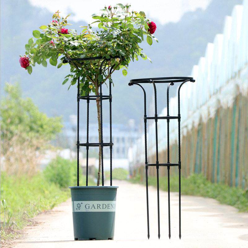 三角梅爬藤架欧式花架子固定架花支架植物种植造型支架蟹爪兰支‘