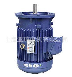 CSA/c电sa认证电机63610H0Z48VV575600V三相出口加拿大的机