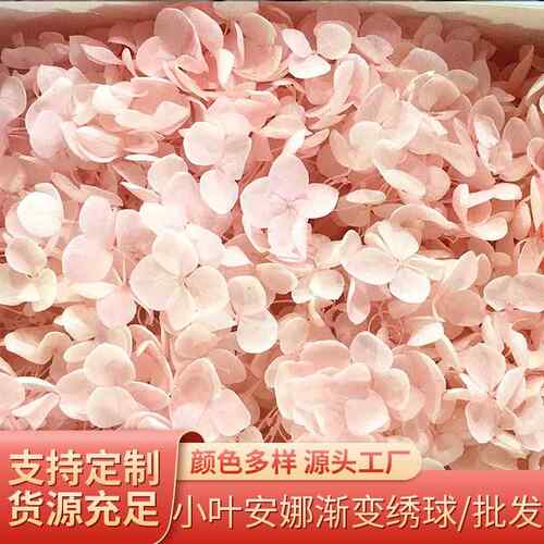 新款直销小叶安娜永生花渐变绣球双色永生花七夕礼盒花束配花配材